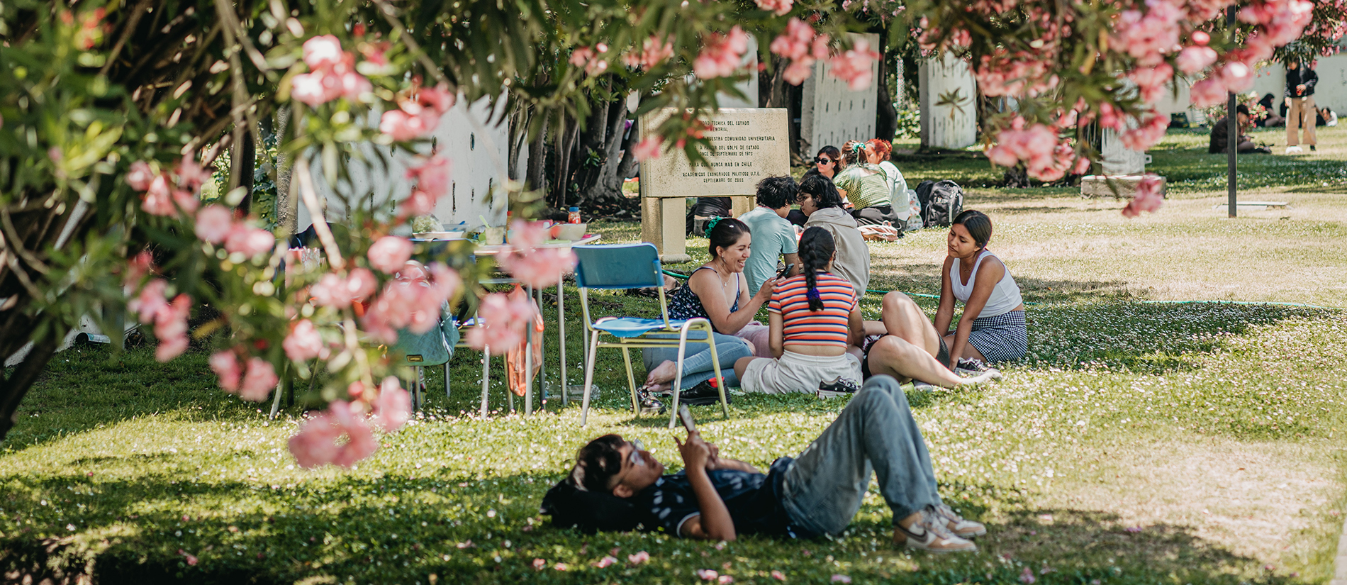 Estudiantes compartiendo sentadas y sentados en el pasto del campus universitario