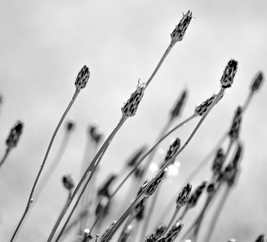 Foto de la actividad.