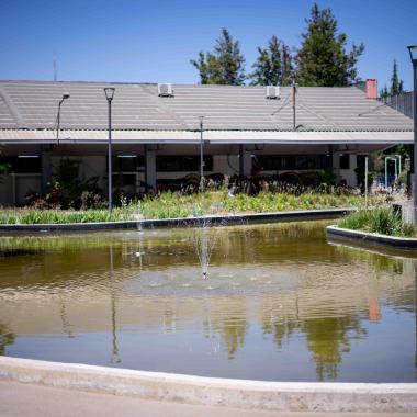 Pileta de peces al interior del campus universitario. En el centro de ella aparece un chorro bajo de agua, y alrededor de la pileta se encuentran plantas. 