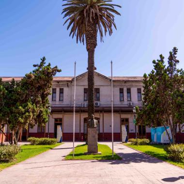 Frontis del Patio de los Perros. En la foto se aprecia una palmera en el centro junto a la escultura de una persona, y alrededor se encuentran árboles y dos esculturas de perros, una en cada lado.