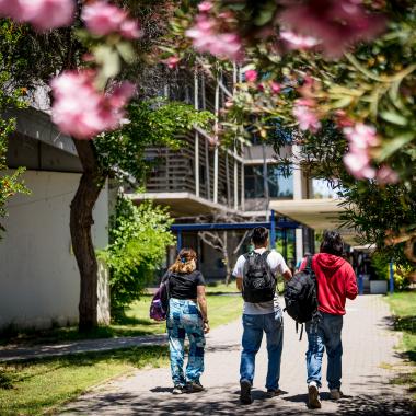 Estudiantes caminando por el campus universitario