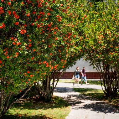 plantas en campus