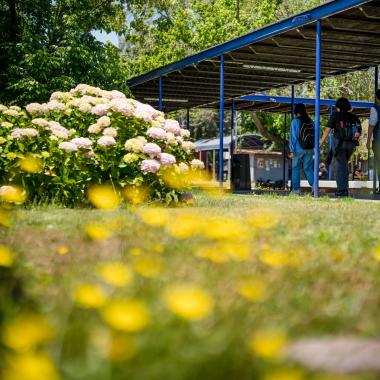 Estudiantes caminando por el campus