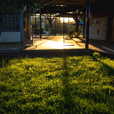 Campus universitario