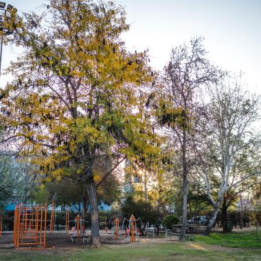 Campus universitario