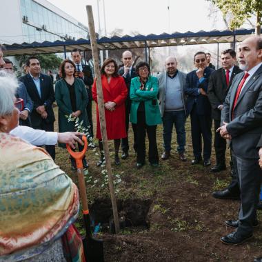 Asistentes a la actividad Árboles de la Memoria