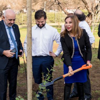 gente plantando árboles