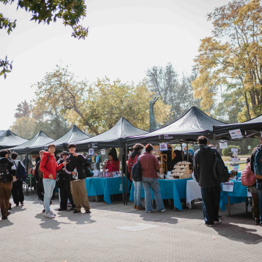 Foto de la actividad.