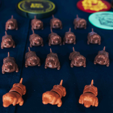 Foto de la actividad.