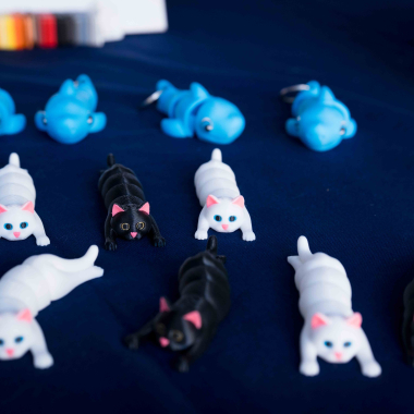 Foto de la actividad.