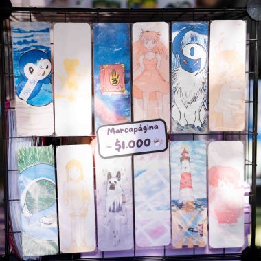 Foto de la actividad.