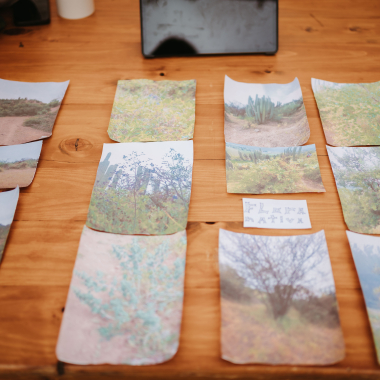 Foto de la actividad.