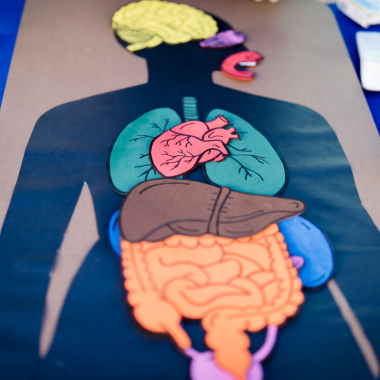 Foto de la actividad.