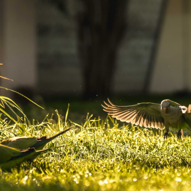 Foto de la actividad.