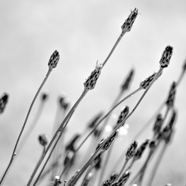 Foto de la actividad.