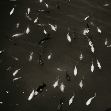 Foto de la actividad.