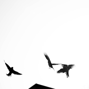 Foto de la actividad.