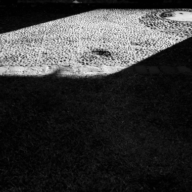 Foto de la actividad.