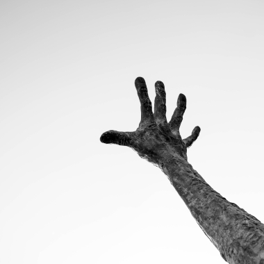 Foto de la actividad.