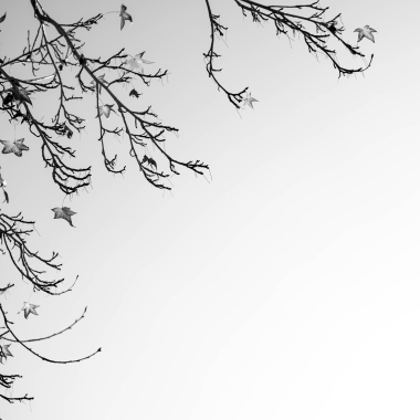 Foto de la actividad.