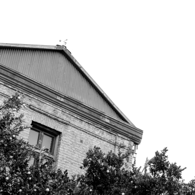 Foto de la actividad.