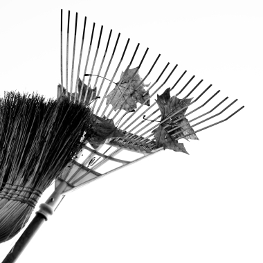 Foto de la actividad.