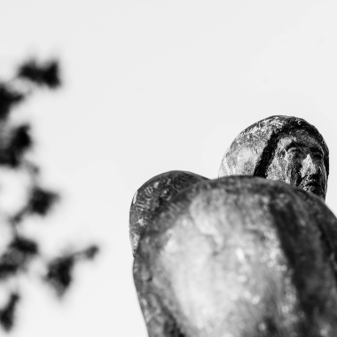 Foto de la actividad.