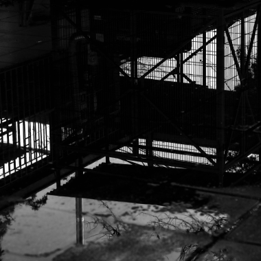 Foto de la actividad.