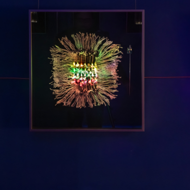 Foto de la actividad.