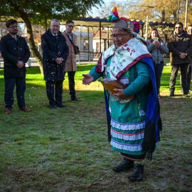 Fotos de la actividad.