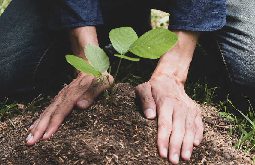 Persona plantando. 