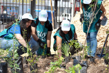 Voluntarias plantando en el Bosque Miyawaki de acceso central Usach