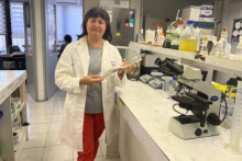 Universidad desarrolla nanobiofertilizantes que mejoran calidad y tolerancia al estrés hídrico en cultivos agrícolas