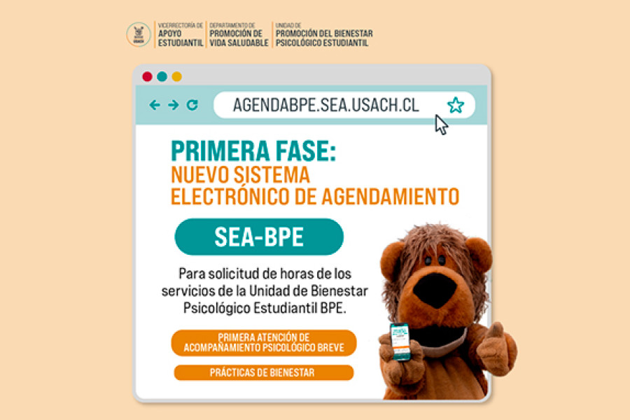 Afiche informativo y la imagen de Usachín