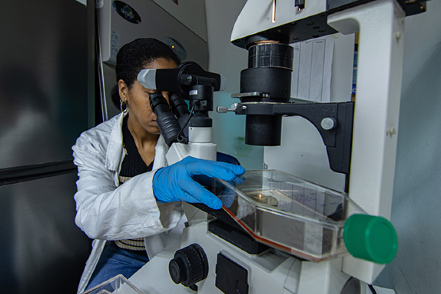 Investigadora trabaja en el laboratorio