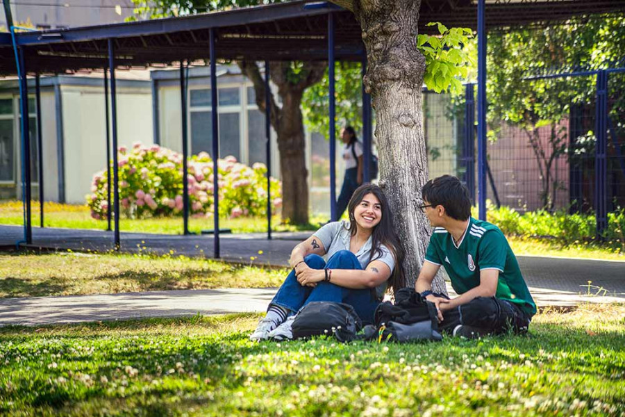 Jóvenes sentados en los pastos de Ciencia 