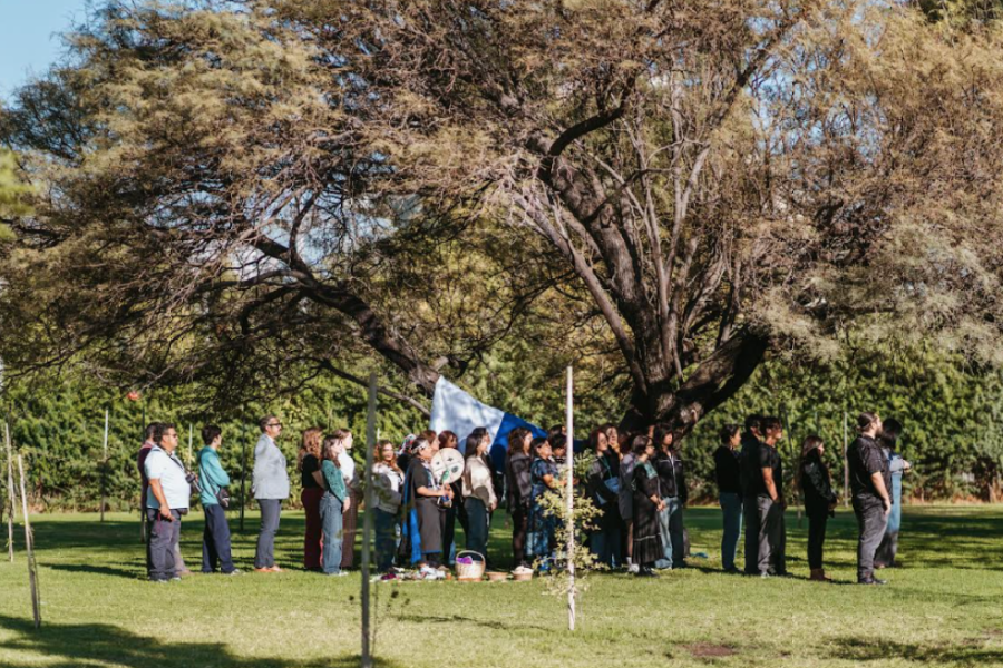 Integrantes de la comunidad de la Facultad de Humanidades y del pueblo Mapuche, giran en torno a árbol sagrado en los pastos de la Rectoría Usach 