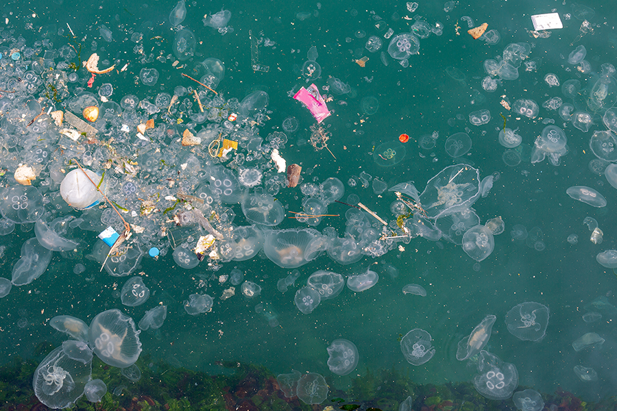 Jellyfish swim among trash and plastic debris in polluted green water.