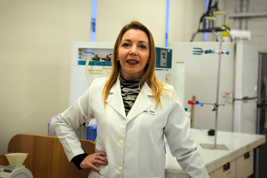 En la fotografía aparece la académica de la Facultad de Ingeniería, Dra. Andrea Mahn