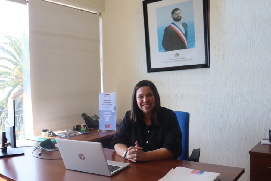 En la fotografía aparece Karen Díaz, ingeniera comercial con mención en Administración por la Universidad de Santiago de Chile,  quien asumió como Directora Regional del Servicio de Cooperación Técnica (Sercotec) en Valparaíso. En la imagen está en su escritorio y en el fondo un cuadro del presidente Boric.