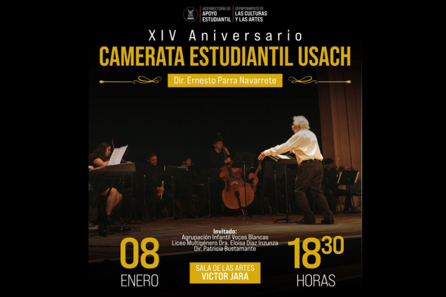 Afiche de la actividad, en la que aparece el director de la Cameratta en pleno concierto.