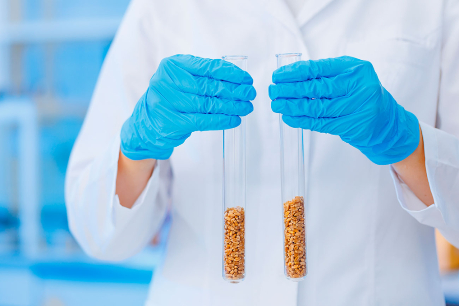 En la imagen aparece un investigador con delantal blanco portando en sus manos dos tubos de ensayo con elementos utilizados en el laboratorio. Sus manos llevan unos guantes celestes.