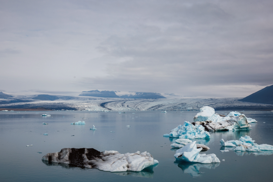 Icebergs floating in calm water before a melting arctic glacier.