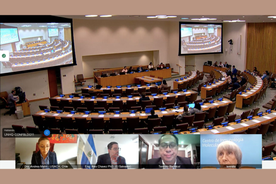 La imagen corresponde a un webinar de la presentación de la VRICC ante la ONU