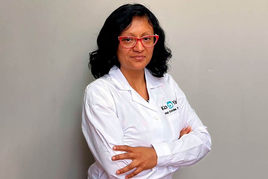 En la imagen aparece la Dra. Cristina Villamar Ayala, académica de la Facultad de Ingeniería